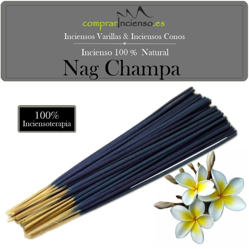 Incienso Conos Artesanal 100 % Natural Copal - CompraIncienso